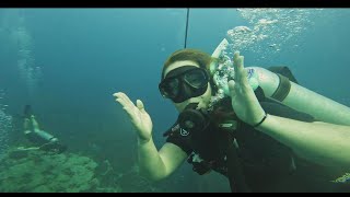 Chumphon Pinnacle  Koh Tao Diving [upl. by Kotto]