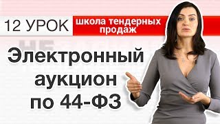 44ФЗ ДЛЯ НАЧИНАЮЩИХ Электронный аукцион по ФЗ44 Что это такое и как участвовать Незапилено [upl. by Meggs]