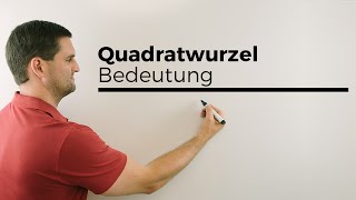 Quadratwurzel Bedeutung Grundlagen Hilfe in Mathe einfach erklärt  Mathe by Daniel Jung [upl. by Sherman]