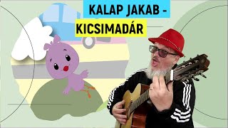 Kalap Jakab  KICSIMADÁR gyerekdal animáció madarak és fák napja [upl. by Ylenaj671]