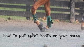 how to put splint boots on your horse [upl. by Nalo]