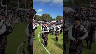 Doune pipeband march off playing pipesanddrums during 2024 Crieff Highland Gathering shorts [upl. by Htebazila]