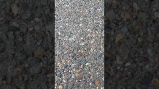 Big exposed aggregate patio concrete construction hardwork friends roblox [upl. by Drexler]