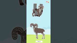 U for Urial Animal Phonics Song Learn the ABCs Kids Alphabet Songs learnanimalnames animalfacts [upl. by Hinson]