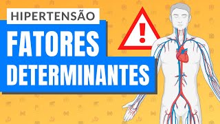 HIPERTENSÃO  PARTE 1 Fatores determinantes [upl. by Elocan]