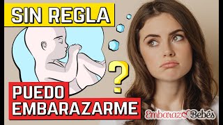 🆘🤰 Puedo EMBARAZARME SIN MENSTRUAR Sin Ovular  Amenorrea [upl. by Esimaj]