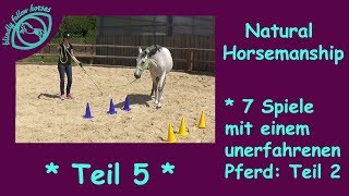 7 Spiele nach Parelli mit einem unerfahrenen Pferd  Natural Horsemanship Reihe  Teil 5 [upl. by Levon]