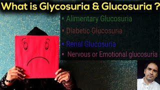 What is Glycosuria amp Glucosuria  Different Types of Glucosuria AlimentaryRenalDiabeticampNervous [upl. by Etsyrk110]