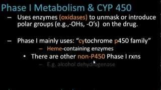 Phase I Metabolism  Pharmacology Lect 7 [upl. by Weed92]