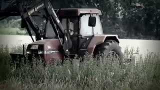 Das vergessene Feld  Case IH Traktor versunken im Unkraut kämpft sich mit Mulcher voran [upl. by Akinas544]