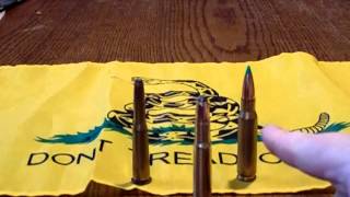 The 3030 Winchester is a dead round watch all the way through [upl. by Traci]