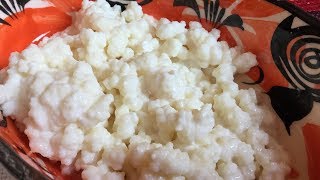 NATA MADRE utilizado kefir o tibicos [upl. by Glarum]