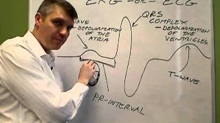 EKG or ECG Electrocardiogram [upl. by Ahsehat]