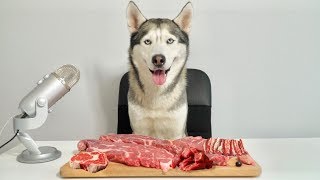 ASMR Husky Reviewing Raw Beef Meat Parts [upl. by Evered]