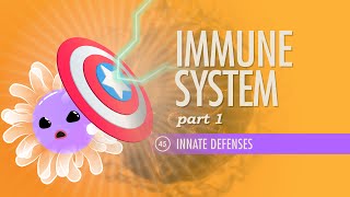 Immune System Part 1 Crash Course Anatomy amp Physiology 45 [upl. by Yleoj]