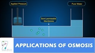 APPLICATIONS OF OSMOSIS [upl. by Klockau]