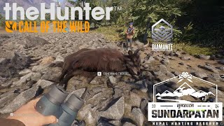 ENCONTRAMOS YAK DIAMANTE  TheHunter Call of the Wild [upl. by Tem]