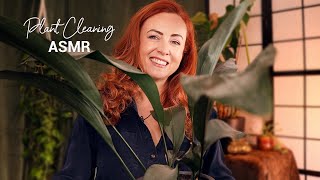 ASMR Plant Cleaning 🪴 Relaxing Pottering amp Chatting [upl. by Nadiya]