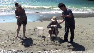 Smelt Fishing in Port Renfrew  Câu Cá Mòi [upl. by Eetsim17]