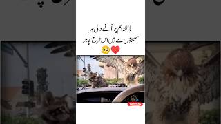 Musebat 🥺❤Islamic Quotes  Sunheri Alfaz  Sad status video  Sad poetry  Deep meaning shorts [upl. by Saxena]