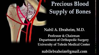 Precious Blood Supply of Bones Animation  Everything You Need to Know  Dr Nabil Ebraheim MD [upl. by Kort233]