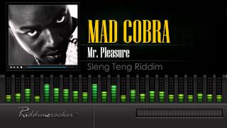 Mad Cobra  Mr Pleasure Sleng Teng Riddim HD [upl. by Laris]