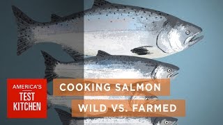 Science How Wild Salmon Differs from Farmed Salmon and How to Cook Salmon to the Right Temperature [upl. by Anielram]