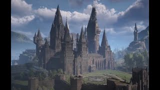 finishing Ranrok in the hogwarts playthrough [upl. by Loftis]