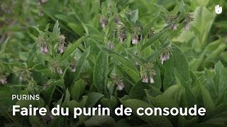 Faire du purin de consoude [upl. by Blythe]