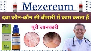 Mezereum 30  Mezereum 200  Mezereum Homoeopathic Medicine Uses In Hindi [upl. by Aisyram]