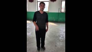 Song Style Xingyi Pi Quan amp Zuan Quan 宋氏形意劈拳和钻拳 [upl. by Juxon]