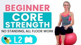 BEGINNER CORE  15 Minute STABILITY BALL Workout for BEGINNERS [upl. by Spector]