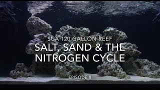 SCA 120 Gallon Reef Tank  Ep8  Salt Sand amp The Nitrogen Cycle ALMOST done [upl. by Zins]