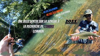 Pêche de lombre commun sur la sorgue ilesursorgue tocnymphe2021 fishingaventureméditerrane06 [upl. by Nuahsed]