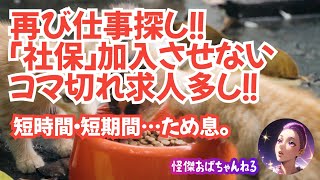 【不採用でした】社会保険加入させないコマ切れ求人多し。仕事探しどうなる？ [upl. by Ahsets467]