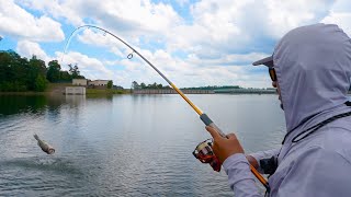 Pesca Con Señuelos De Superficie En El Verano [upl. by Demetris]