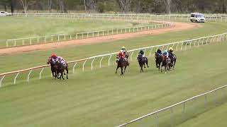 Mareeba 11052024 Race 2 [upl. by Chick166]