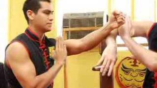 Wing Chun Deflections and Attacks  Trapping [upl. by Prochora]