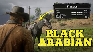 Get this rare Arabian right now  RDR2 [upl. by Ecirtaeb]