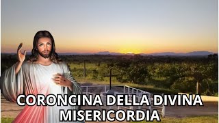 CORONCINA DELLA DIVINA MISERICORDIA [upl. by Gonick138]