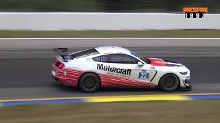 Ford Mustang GT4 pure loud Sound at Michelin Raceway Road Atlanta [upl. by Leagiba]