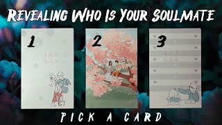 Your SOULMATE In Depth Portrait PICK A CARD Tarot Reading [upl. by Avika]