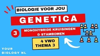 4 vwo  Genetica  3  Monohybride kruisingen amp stambomen [upl. by Annaet]