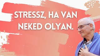 Stressz  ha van neked olyan [upl. by Jannel731]