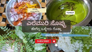 ಎಲೆ ಮುರಿ ಸೊಪ್ಪುಯಾರಿಗೆಲ್ಲ ಗೊತ್ತು healthygreens coooking food herbs tambuli [upl. by Meuser]