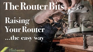 The Router Bits  Raising Your Router  the Easy Way [upl. by Raama]