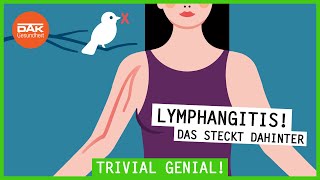 Lymphangitis Das steckt dahinter  trivialgenial  DAKGesundheit [upl. by Gotcher411]