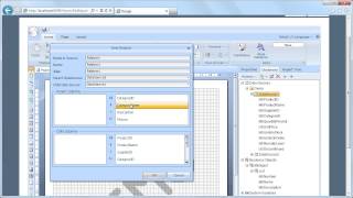 Working With Data Dictionary in ReportsWeb for MVC  Shot on version 20131 [upl. by Graniela965]