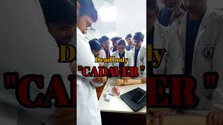 The value of dead bodies in medical Education aiimsdeoghar anatomy shorts dh neet [upl. by Eelanej]