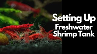 How To Setup A Freshwater Shrimp Tank 🦐 [upl. by Ria]